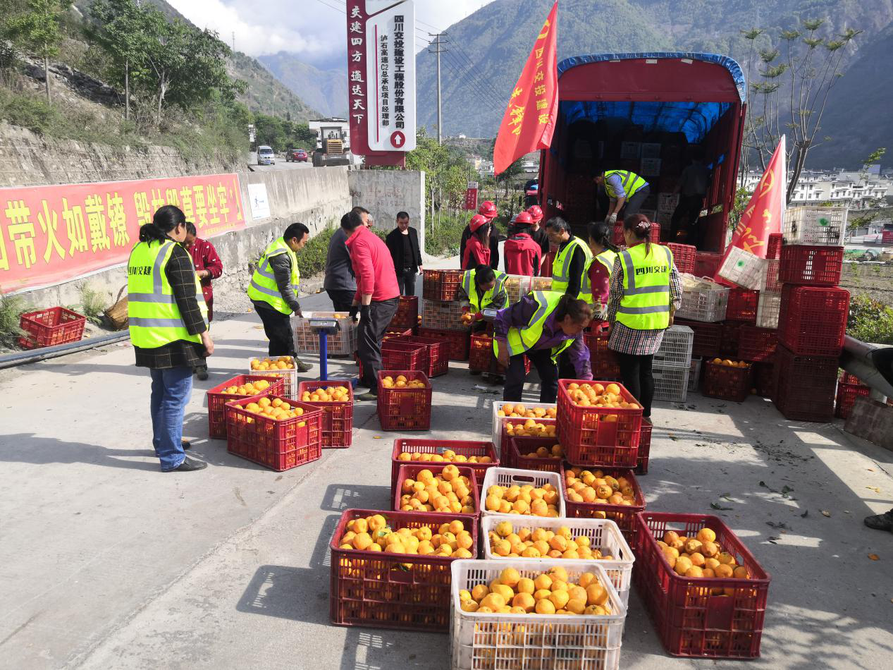 學(xué)黨史、做實事、見成效 ——瀘石TJ5項目黨支部助力果農(nóng)銷售